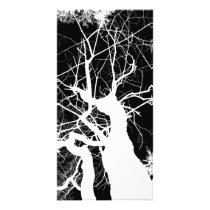 WEBBY TREE BLACK AND WHITE NEGATIVE photo cards by VoXeeD WEBBY TREE BLACK AND WHITE NEGATIVE photo cards