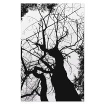 WEBBY TREE BLACK AND WHITE stationery
