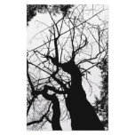 WEBBY TREE BLACK AND WHITE CUSTOM STATIONERY