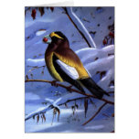 Weber's Evening Grosbeak Note Card