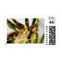 Webmaster II Postage Stamp