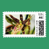Webmaster II stamps
