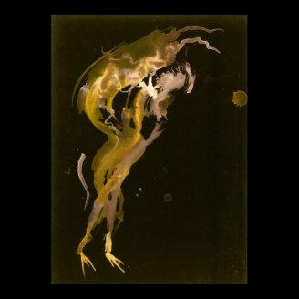 Webwork - 007 - Crow Girl Print