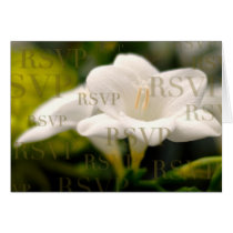 Wedding (#2) cards