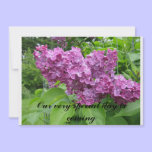 Wedding announcement invitations