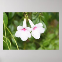 Wedding Bell Flower Print