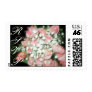 Wedding Bouquet RSVP