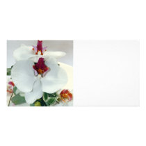 Wedding cake photo cards
