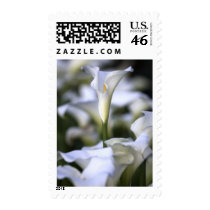 Wedding Calla Lilies Postage postage by SweetRascal Wedding Calla Lilies Postage postage