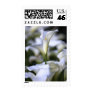 Wedding Calla Lilies Postage