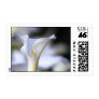 Wedding Calla Lily Postage