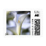 Wedding Calla Liy small Postage