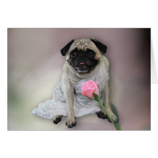 pug wedding card pug wedding cards zazzle pug wedding card pug wedding cards zazzle
