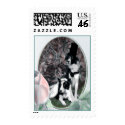 Wedding Dogs 2 Stamps by Petcetera Wedding Dogs 2 Stamps