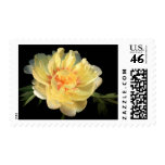wedding flower stamps, rose stamps, bridal shower