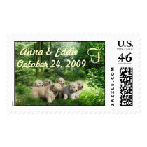 Wedding Golden Retriever Puppies Postage postage by normagolden Wedding Golden Retriever Puppies Postage postage