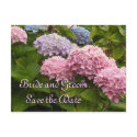 Wedding Hydrangeas Save the Date postcards