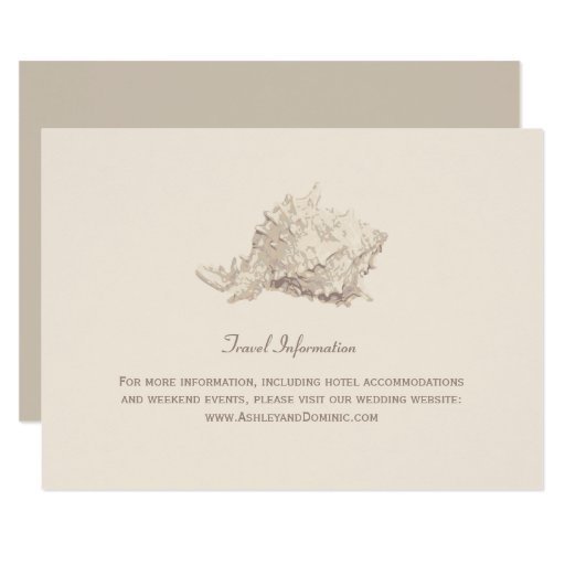 Wedding Information Card Ivory Seashell Zazzle