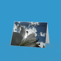 Wedding Invitation cards