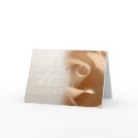 Wedding Invitation Cream Rose Card