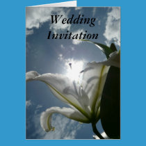 Wedding Invitation cards
