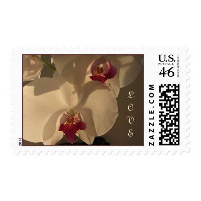 Wedding Invitation Love Orchid,  Brown & Cream Postage Stamps