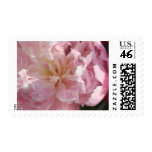 Wedding Invitation Peonies Stamp