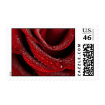 Wedding Invitation Postage Stamp
