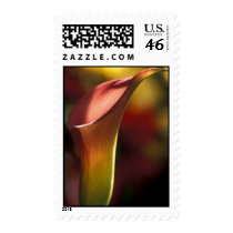 Wedding Invitation Postage Stamp