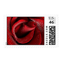 Wedding Invitation Postage Stamp
