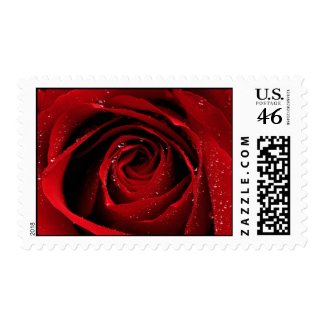Wedding Invitation Postage Stamp stamp
