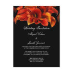 Wedding Invitation Postcards