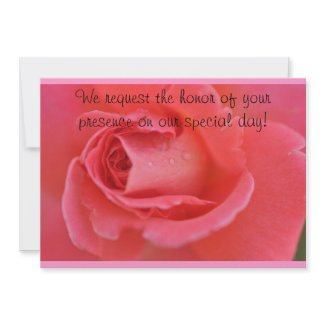 Wedding invitations Close up of rose zazzle_invitation