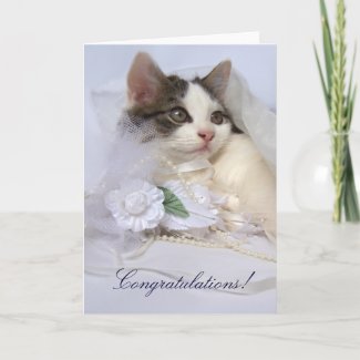 Wedding Kitten Card card
