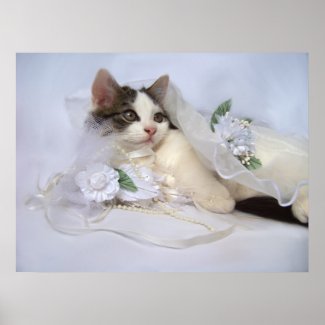 Wedding Kitten Fine Art Print print