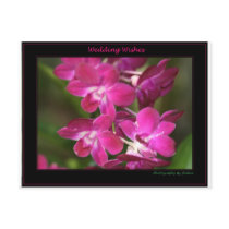 Wedding one postcards