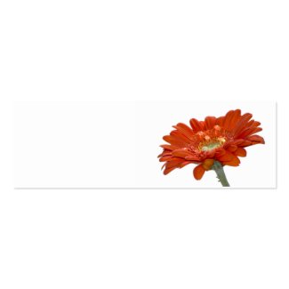 Wedding Place Name Card - Orange Daisy Gerbera