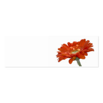 Wedding Place Name Card - Orange Daisy Gerbera Business Card
