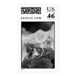 Wedding Stamps Wedding Stamps