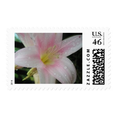 Wedding Postage