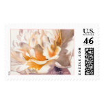 Wedding Postage Custom Stamp