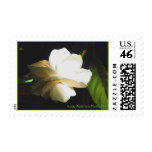 Wedding Postage for Thanks, w/Matching Note Cards