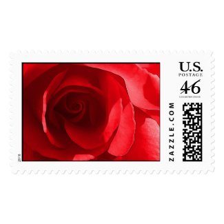 Red Rose Wedding Postage Stamp stamp