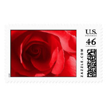Wedding Postage Stamp by TDSwhite Wedding Postage Stamp
