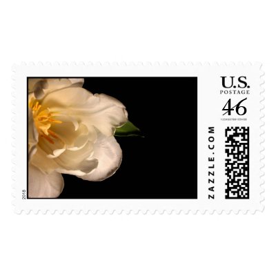 Wedding Postage Stamp