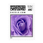 Wedding PURPLE VIOLET  Rose - Lace Silver Trim Postage Stamp