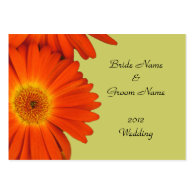 wedding reception detail cards. business card template