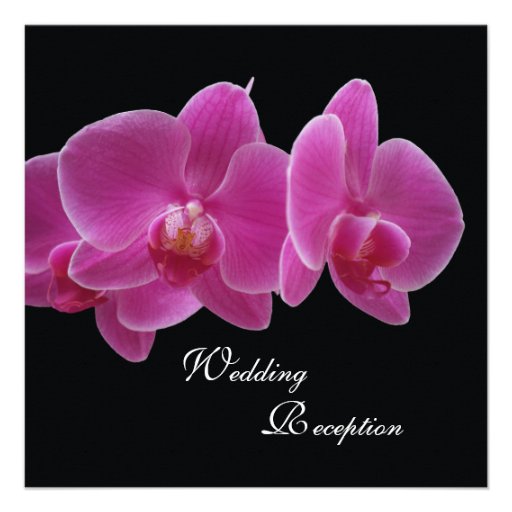 Wedding Reception Only Invitation -- Orchids