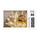 Wedding Ring Photo Postage Stamp