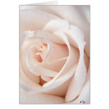 Wedding Rose Card